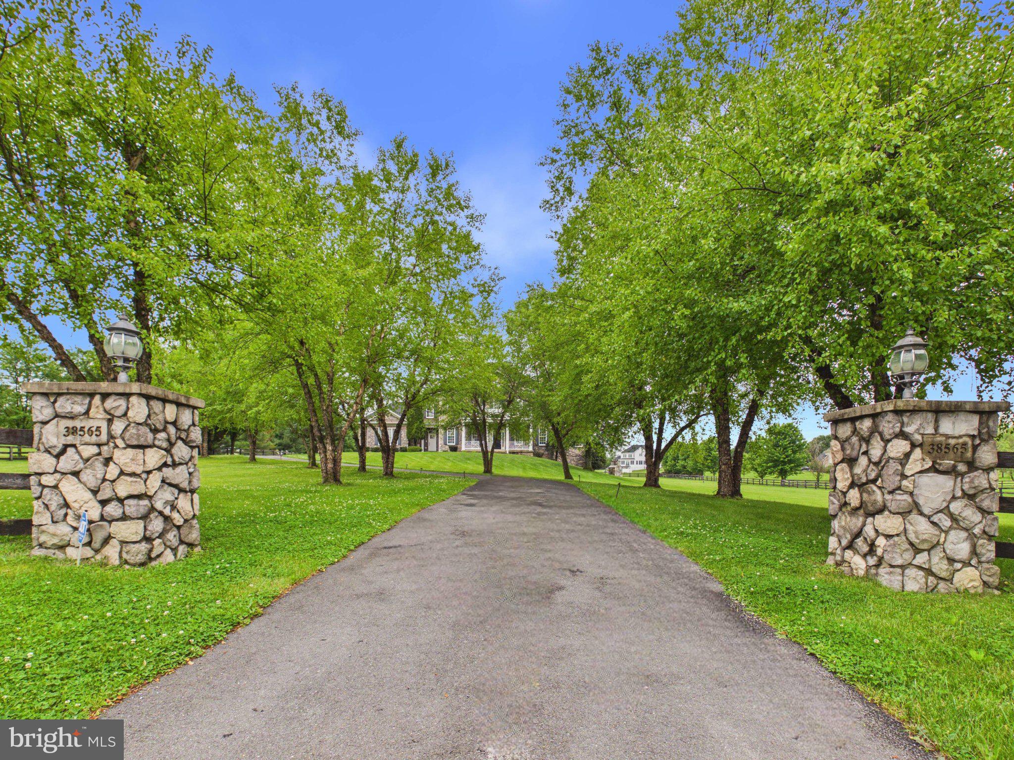 38565 Piggott Bottom Road Hamilton, VA 20158 - Photo 81 of 85 a view of a park with large trees