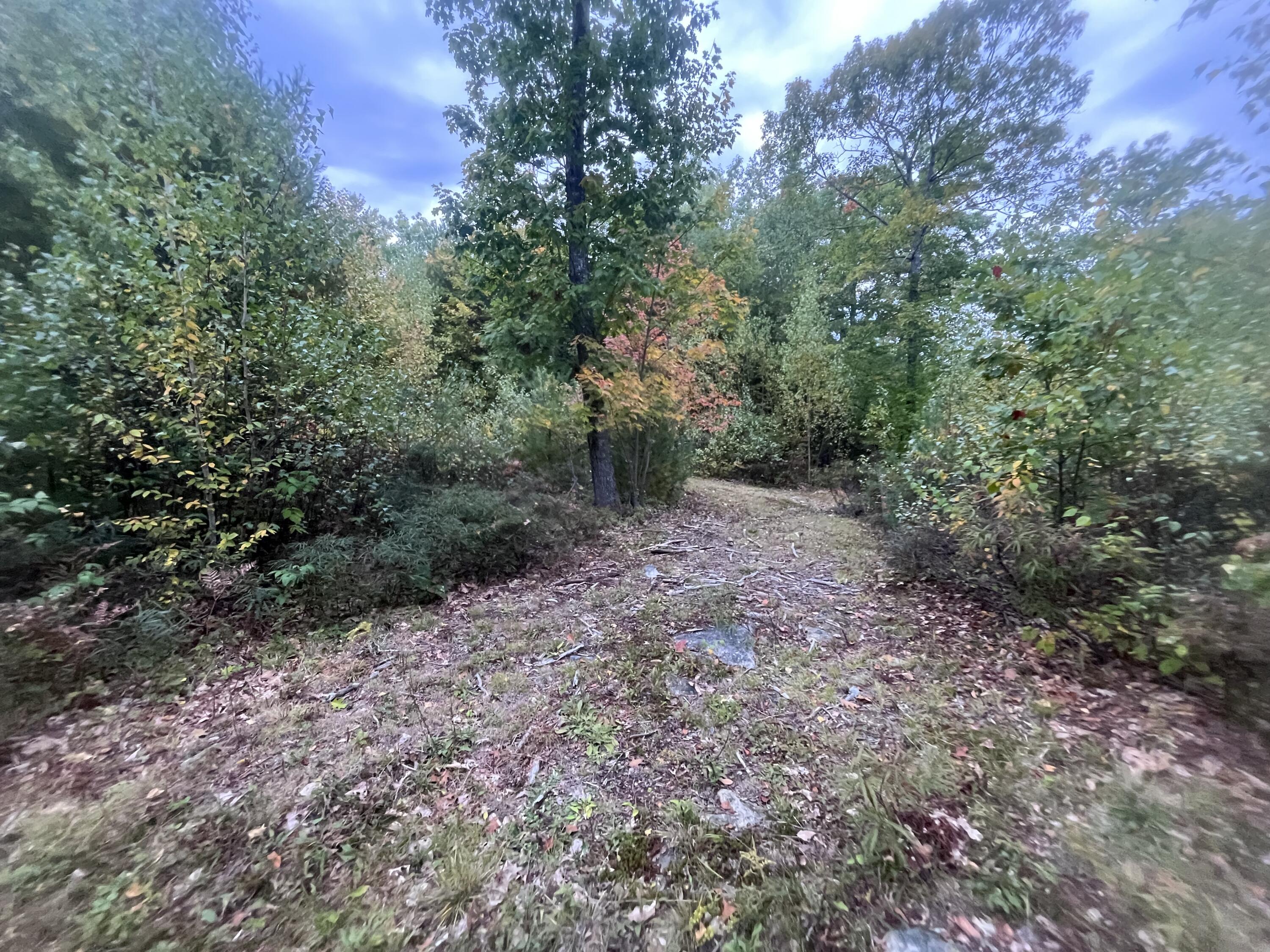 Lot 41 Turtle Trail Alfred, ME 04002 - Photo 6 of 23 IMG_5809