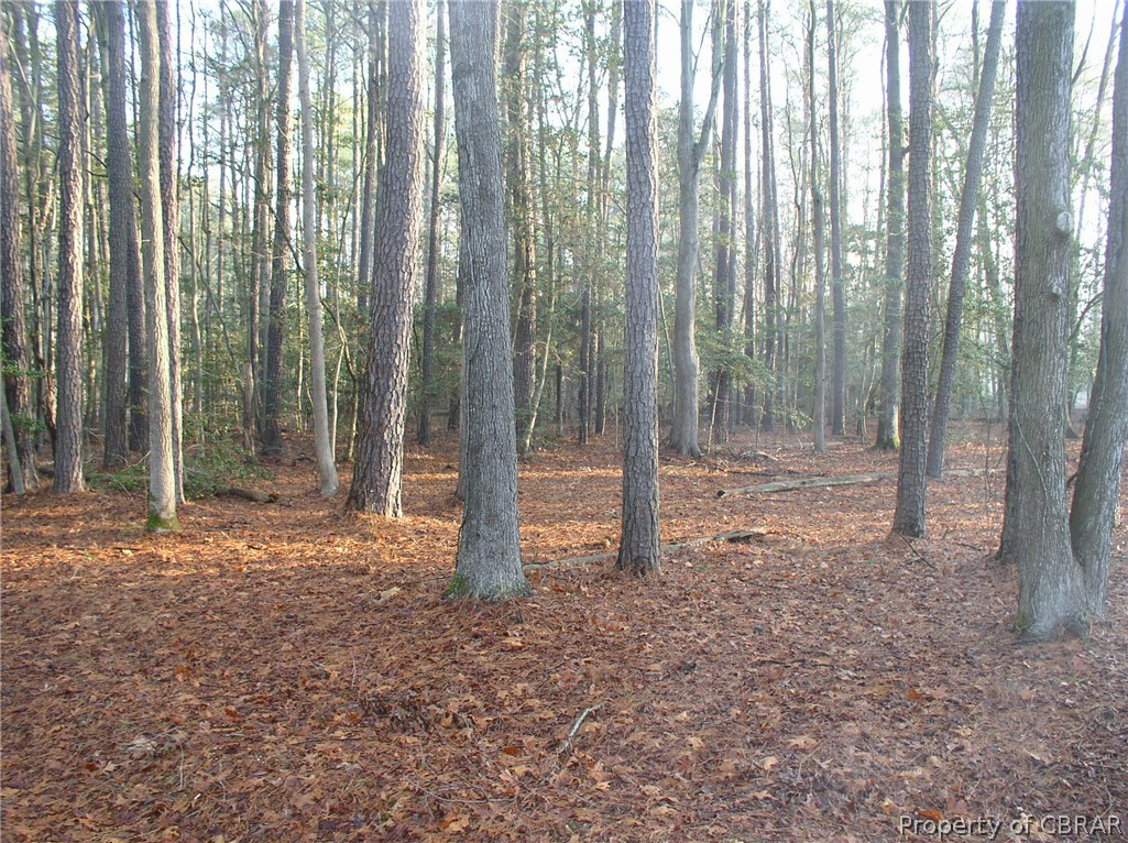 0 Lancelot Drive Reedville, VA 22539 - Photo 1 of 9