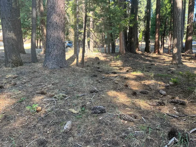 $27,000 | 1130 Clifford Drive, Lake Almanor, CA 96137