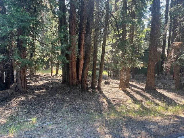 $27,000 | 1130 Clifford Drive, Lake Almanor, CA 96137