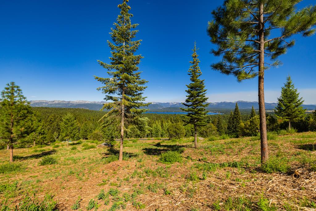 1697 Club Hill Boulevard, Unit 4 McCall, ID 83638 - Photo 5 of 26