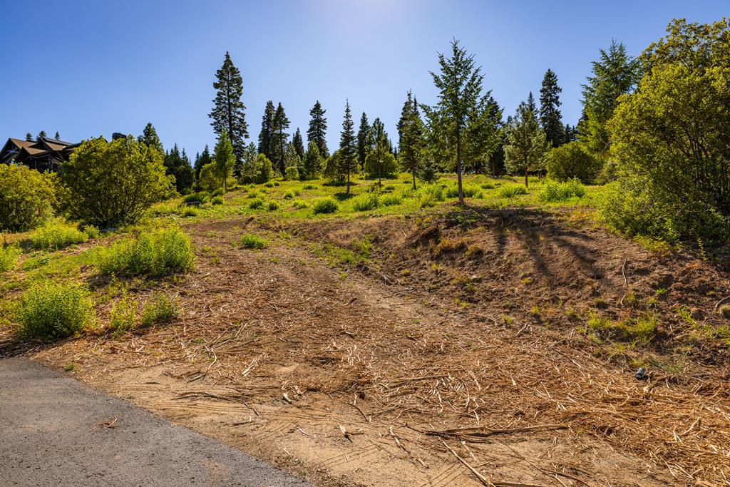 1697 Club Hill Boulevard, Unit 4 McCall, ID 83638 - Photo 9 of 26