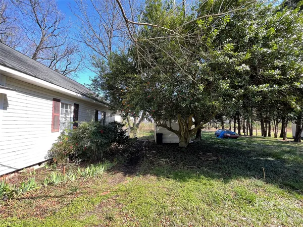 a view of a yard with plants and trees