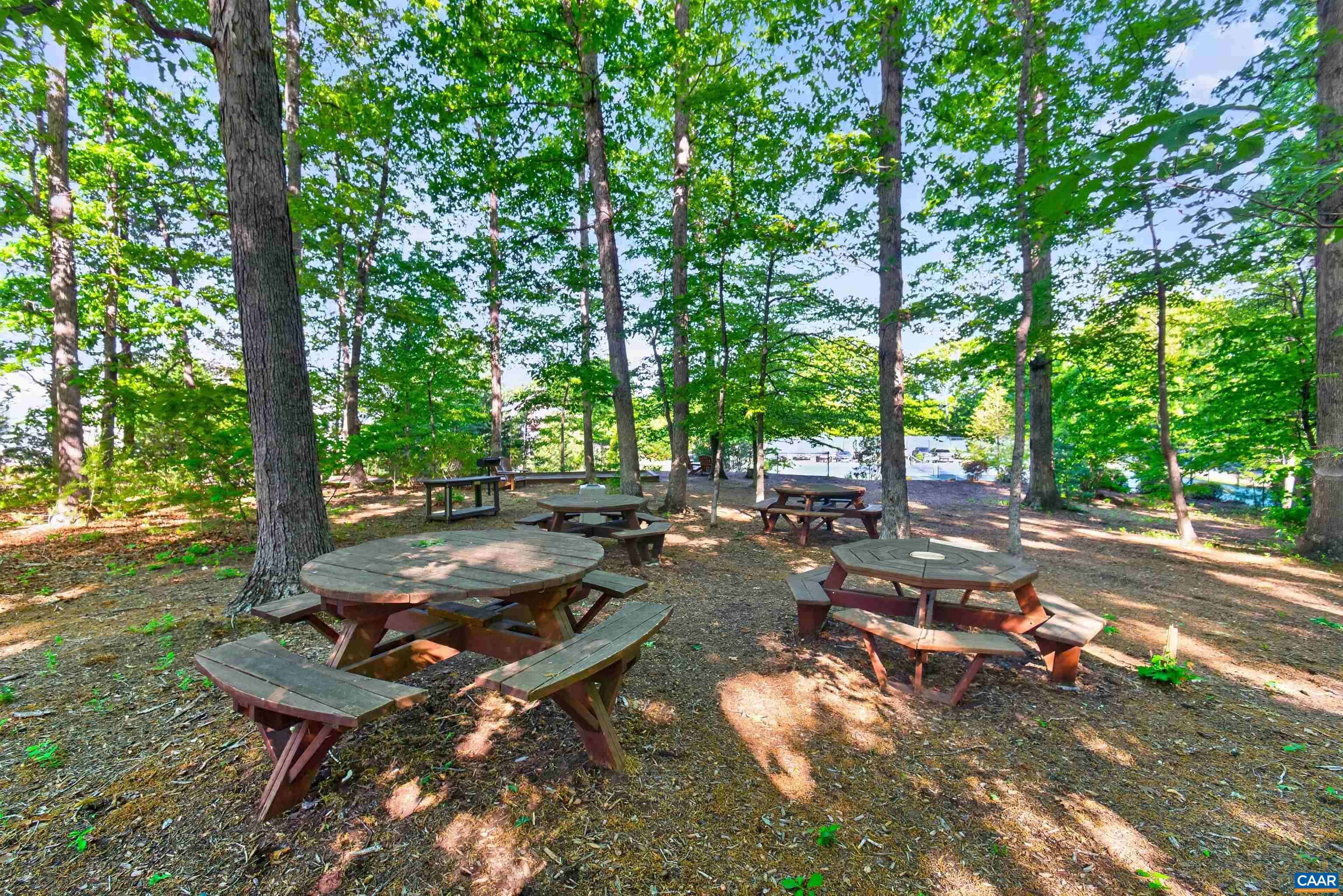 65 Blue Ridge Terrace Zion Crossroads, VA 22942 - Photo 54 of 55 Picnic Tables