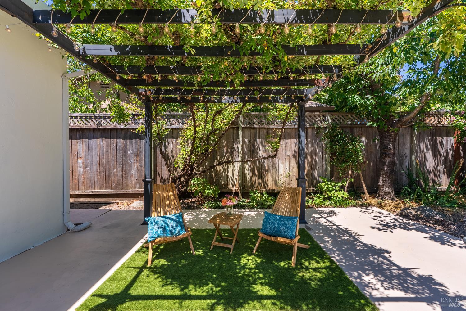 1563 Shay Avenue Santa Rosa, CA 95401 - Photo 30 of 39 Climbing rose covered trellised patio
