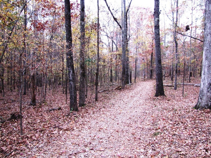 662 Pear Tree Road Auburn, AL 36830 - Photo 24 of 24 Gallery Image 24