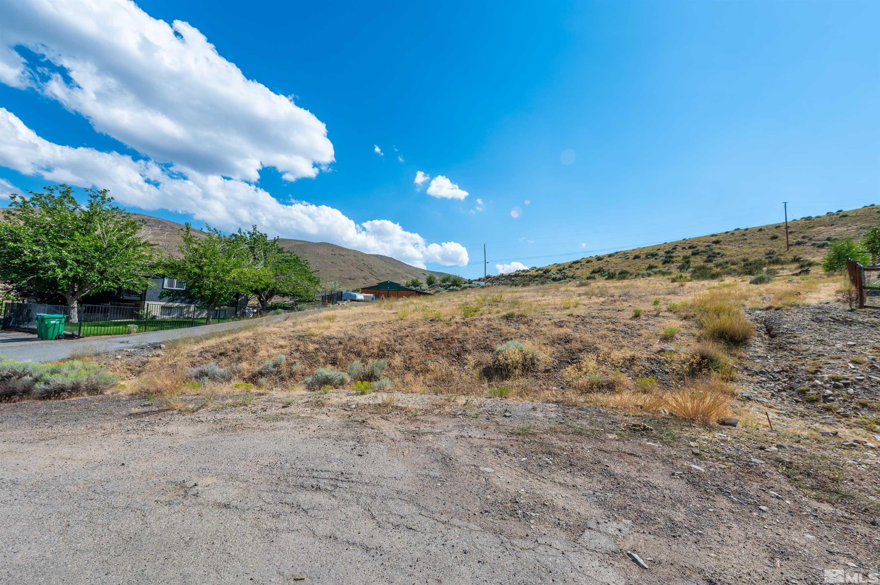 110 Del Mesa Circle Reno, NV 89521 - Photo 5 of 33 a view of a field with large trees
