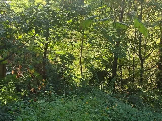 $249,900 | Southeast 59th Court, Hillsboro, OR 97123