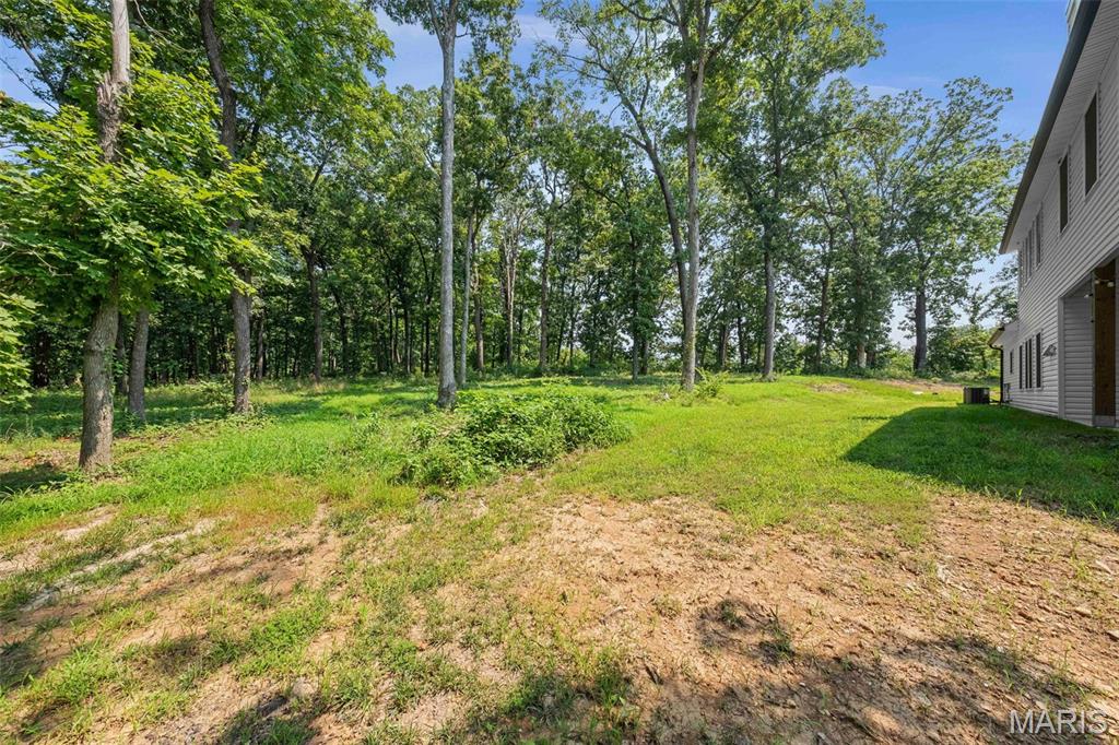 333 Highway D Hawk Point Hawk Point, MO 63349 - Photo 43 of 54