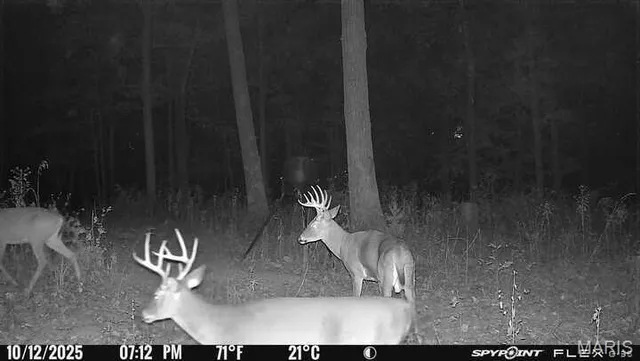 $695,000 | 333 Highway D Hawk Point, Hawk Point, MO 63349