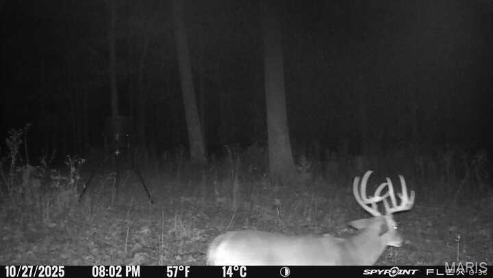 333 Highway D Hawk Point Hawk Point, MO 63349 - Photo 48 of 54