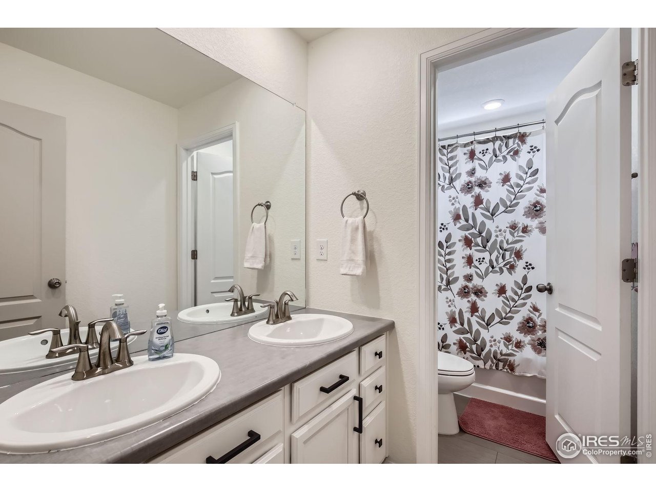 12889 Clearview Street Firestone, CO 80504 - Photo 17 of 38 a bathroom with a sink and a mirror