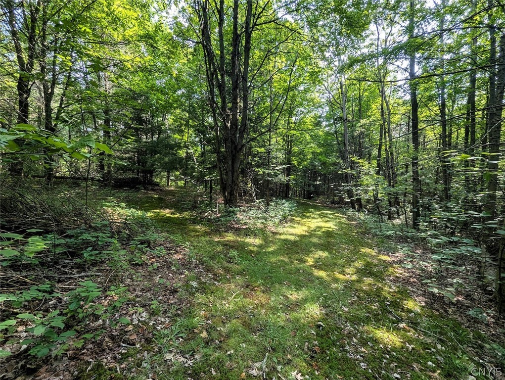 8880 Hemlock Road Wheeler, NY 14809 - Photo 30 of 50