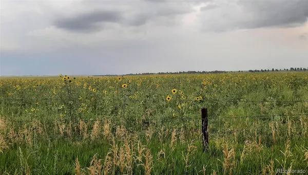 $365,000 | 21545 Elk Meadows Circle, Elbert, CO 80106