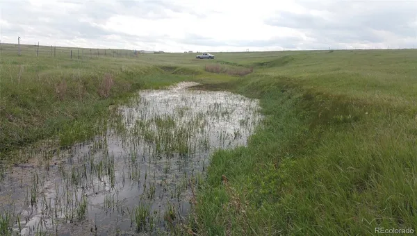a view of lake with green space
