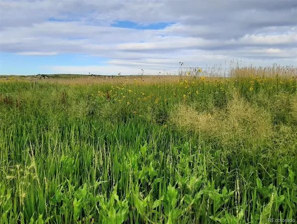 a view of a lush green space with sea