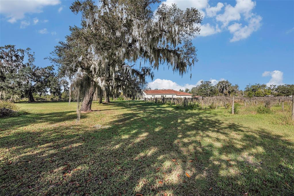 331 Lewis Road Lithia, FL 33547 - Photo 49 of 87 Gallery Image 49