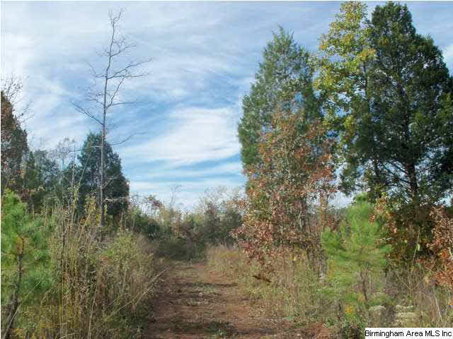 Plant Road, Unit 118 Alpine, AL 35014 - Photo 4 of 11 Gallery Image 4