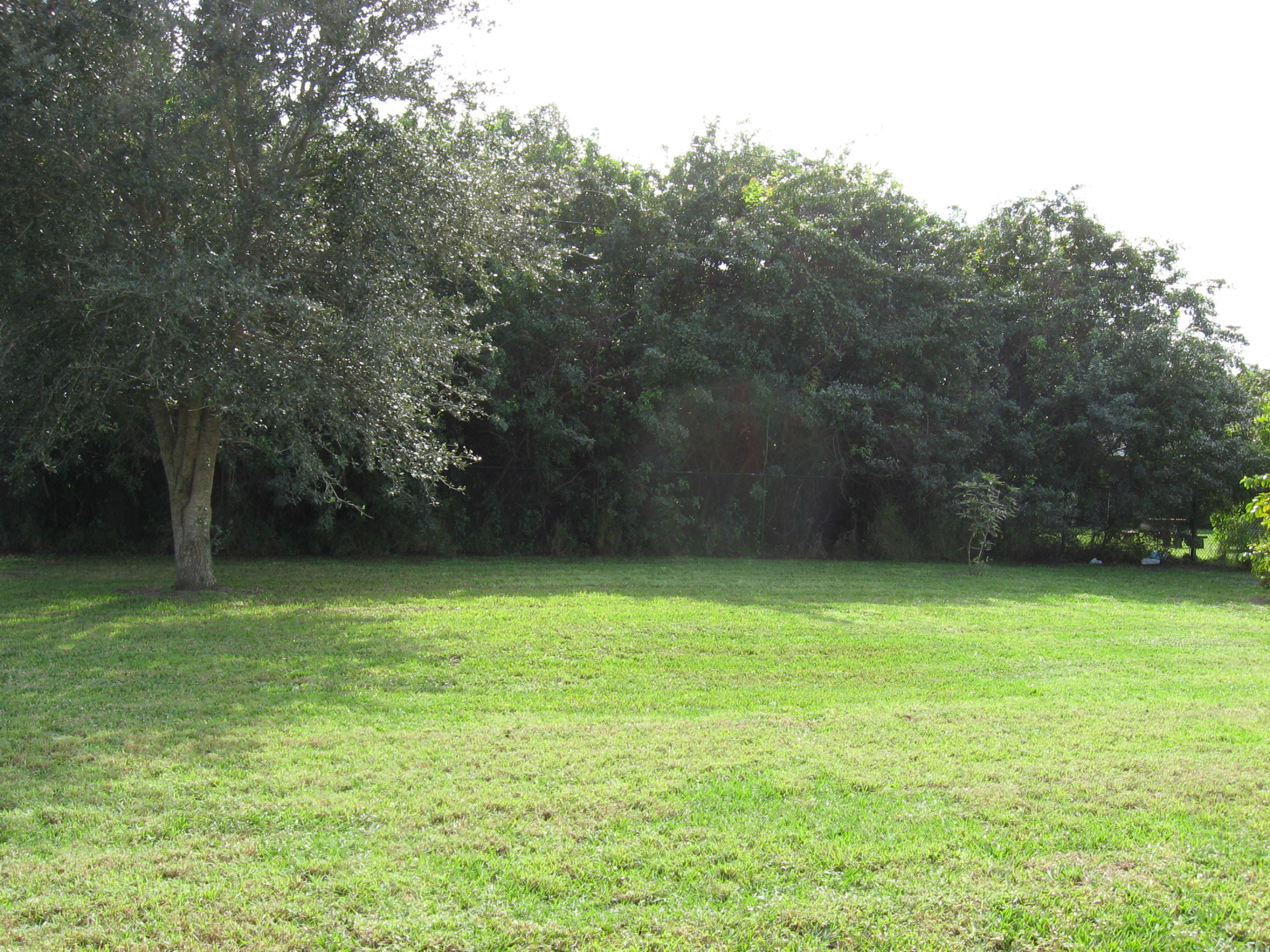 504 Southwest Undallo Road Port St. Lucie, FL 34953 - Photo 22 of 23 a view of a green yard