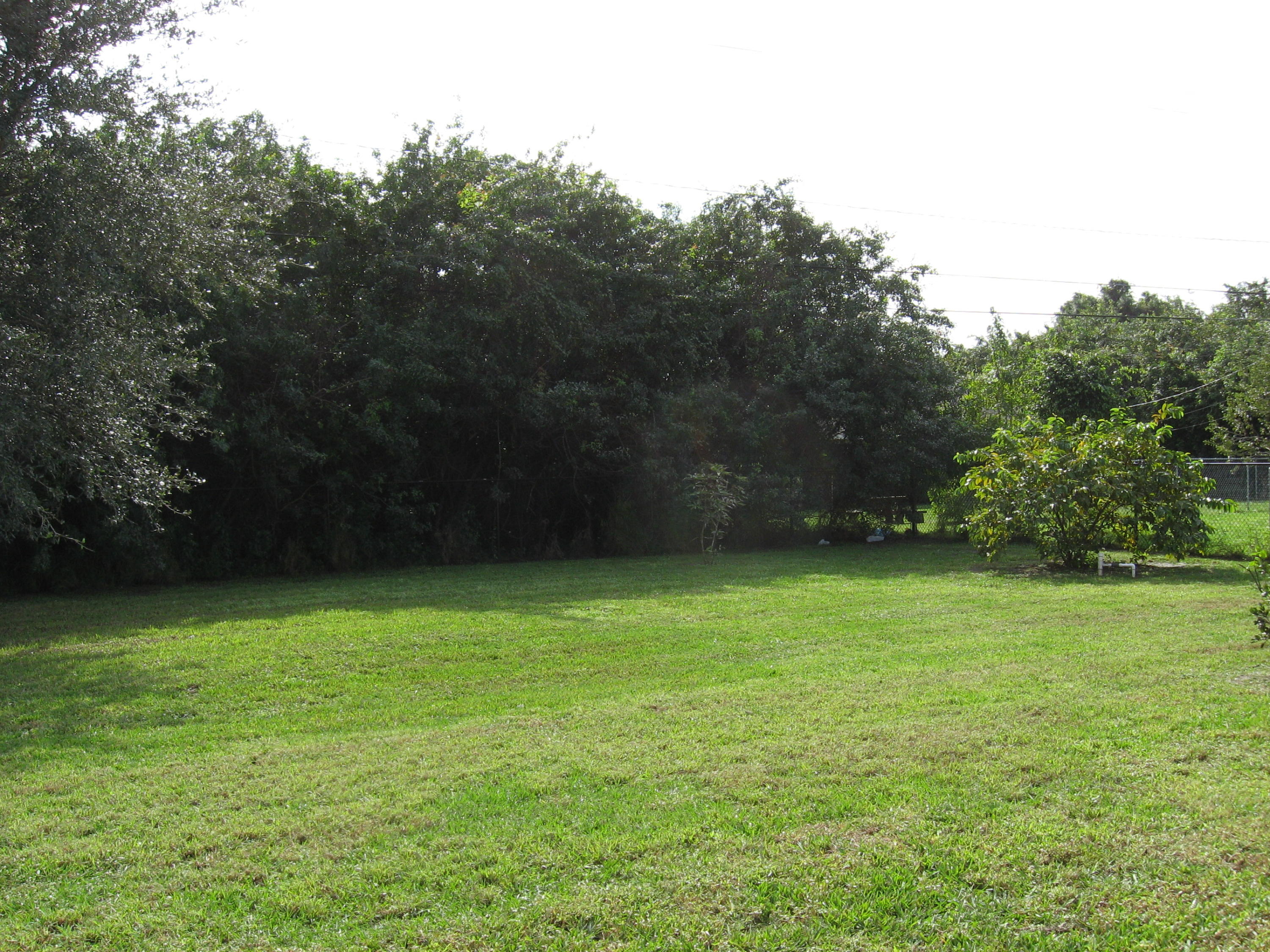 504 Southwest Undallo Road Port St. Lucie, FL 34953 - Photo 23 of 23 a backyard of a house with lots of green space