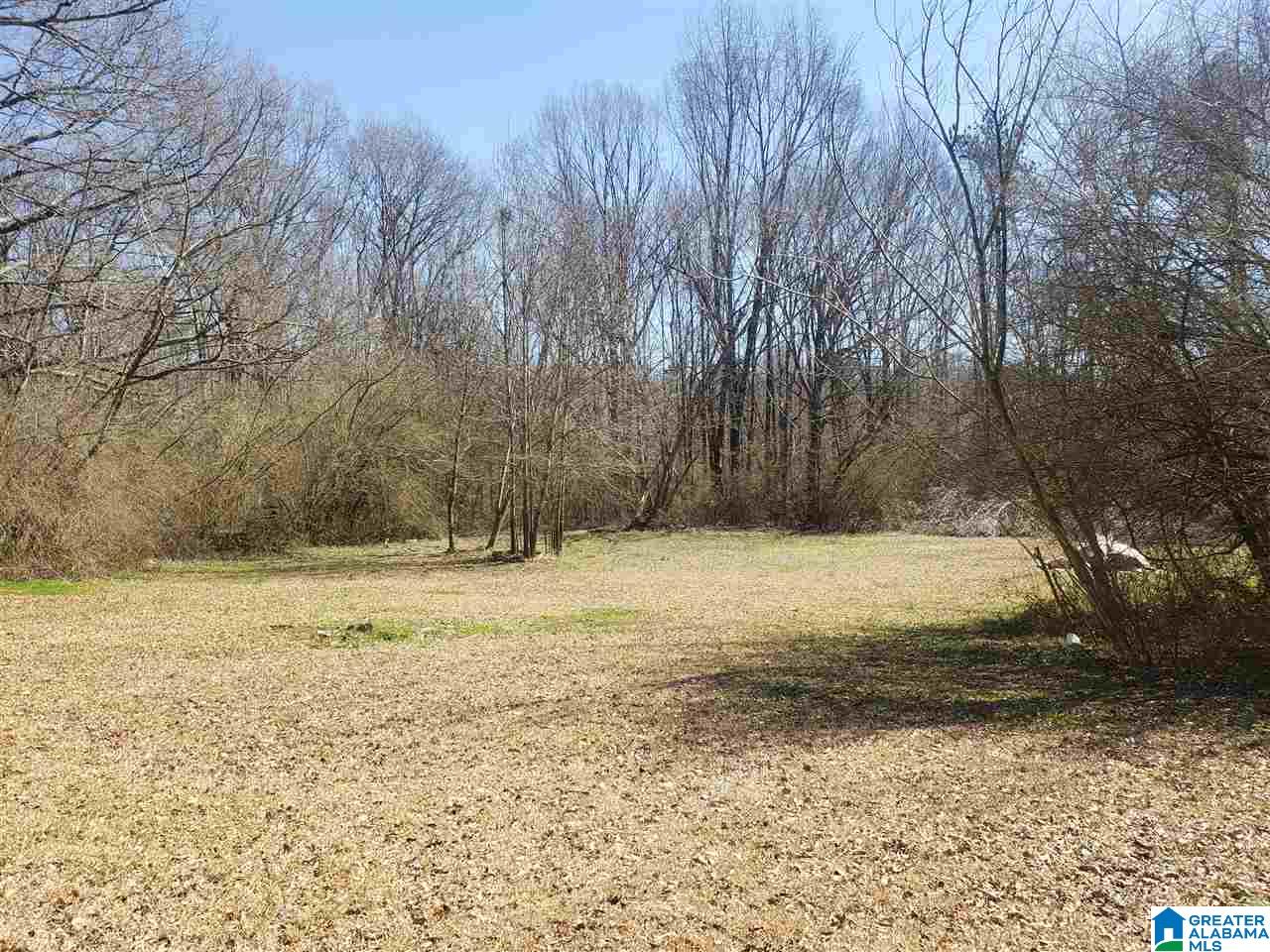 543 Odens Mill Road Sylacauga, AL 35150 - Photo 47 of 49