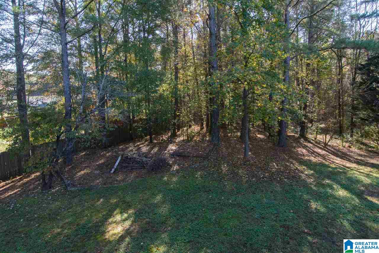 122 Shelby Forest Road Chelsea, AL 35043 - Photo 45 of 45