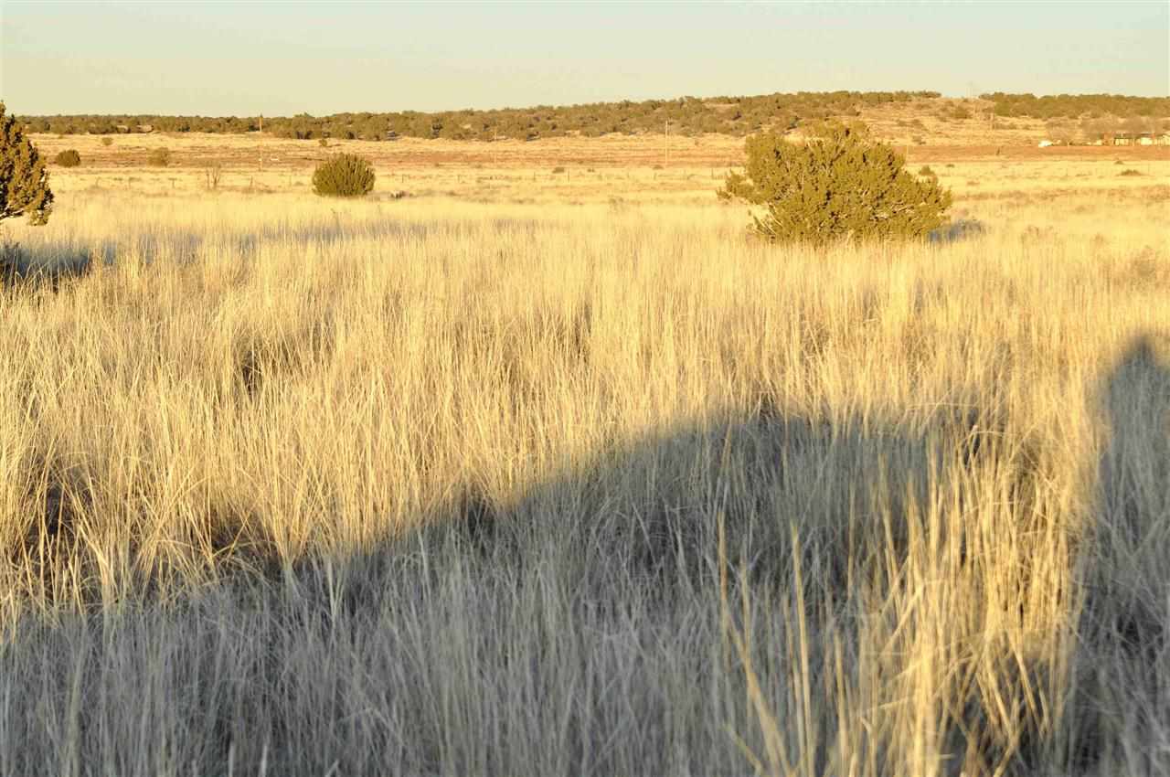 Lot 68 Clyde Road Snowflake, AZ 85937 - Photo 2 of 8