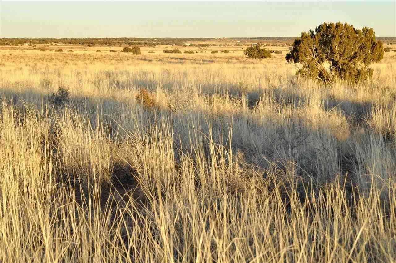 Lot 68 Clyde Road Snowflake, AZ 85937 - Photo 3 of 8