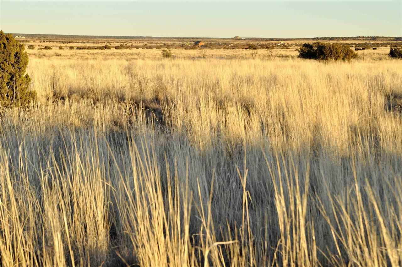 Lot 68 Clyde Road Snowflake, AZ 85937 - Photo 4 of 8
