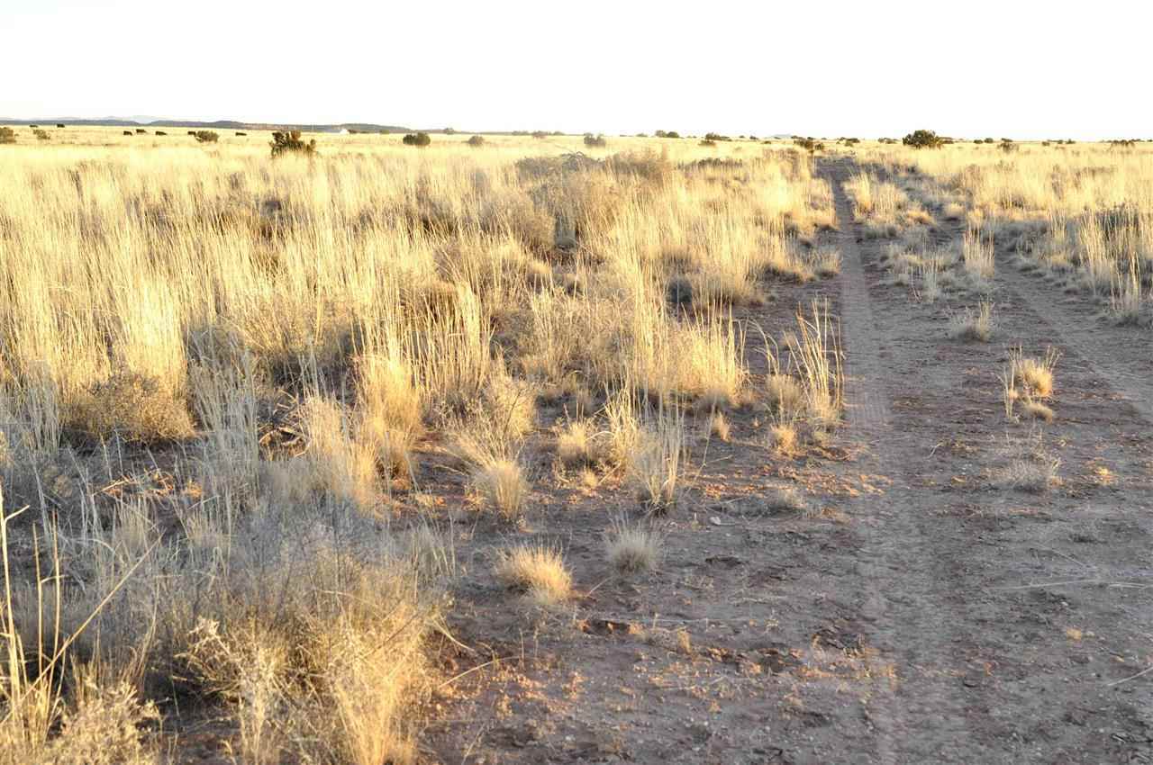 Lot 68 Clyde Road Snowflake, AZ 85937 - Photo 6 of 8