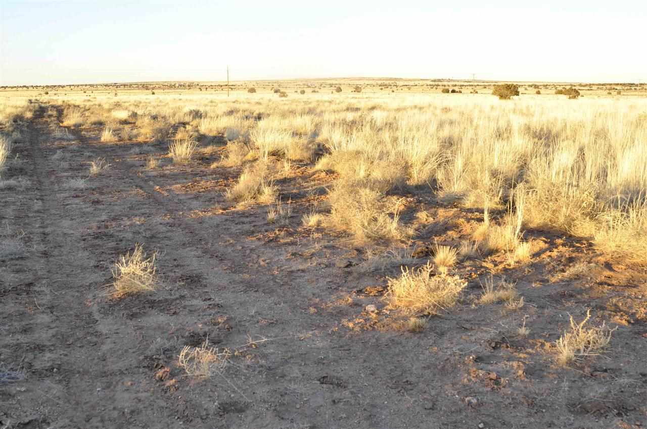 Lot 68 Clyde Road Snowflake, AZ 85937 - Photo 7 of 8