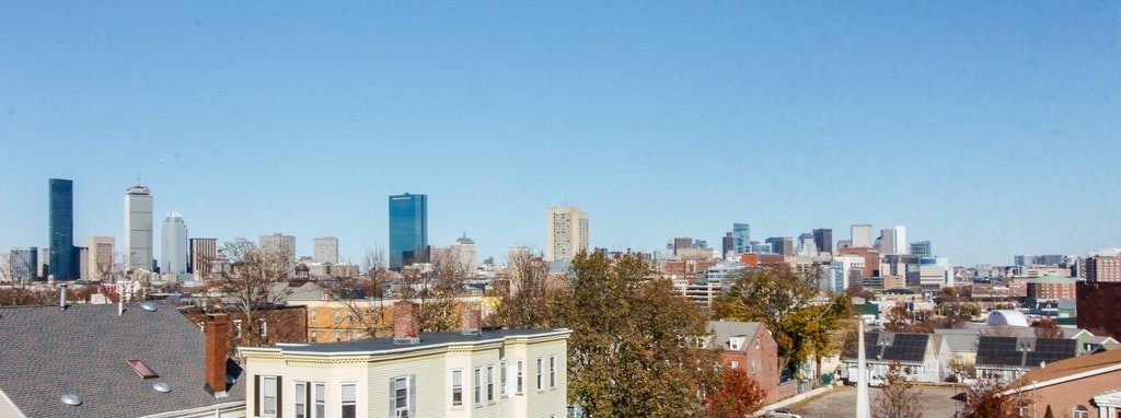 39 Forest Street Boston, MA 02119 - Photo 3 of 42