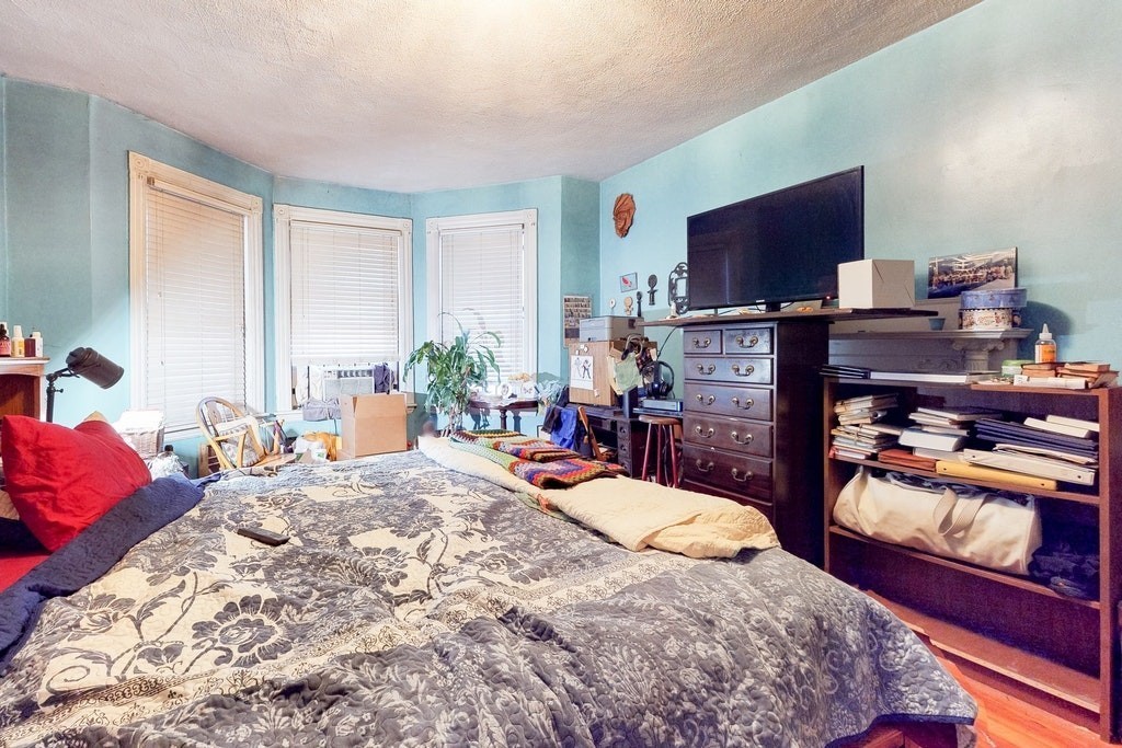 39 Forest Street Boston, MA 02119 - Photo 10 of 42