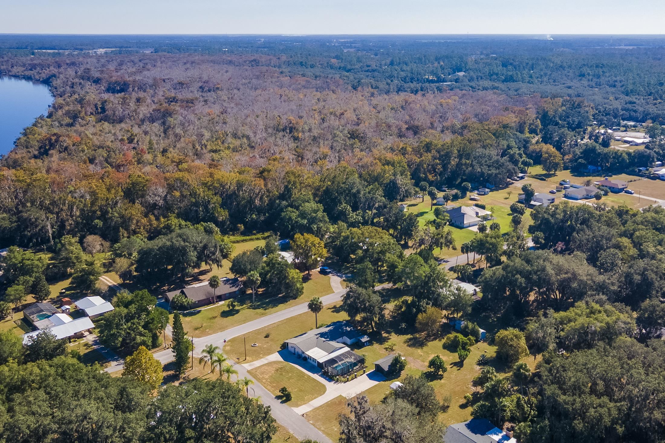 123 Esperanza Grove Road East Palatka, FL 32131 - Photo 48 of 59 View of property location featuring a forest
