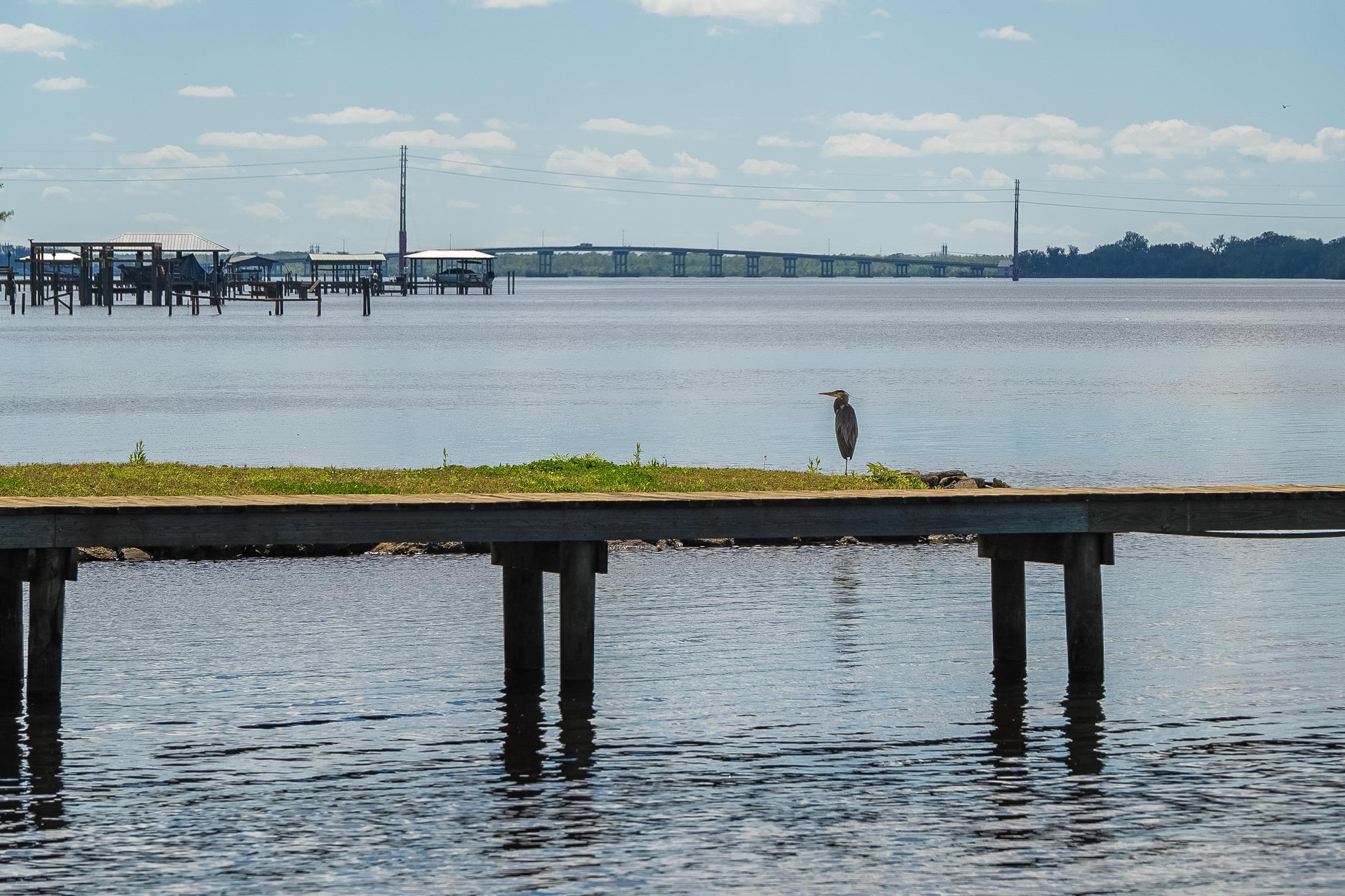 123 Esperanza Grove Road East Palatka, FL 32131 - Photo 59 of 59 Water view