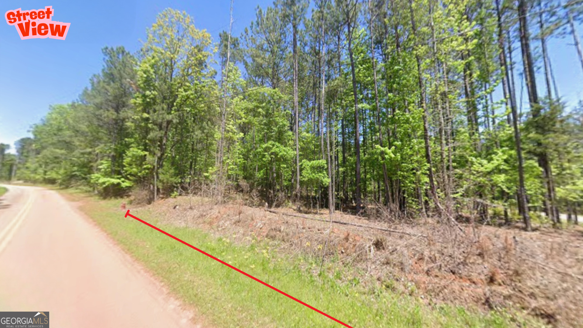 0 Goshen Road Thomaston, GA 30286 - Photo 14 of 18 a view of a yard with a tree
