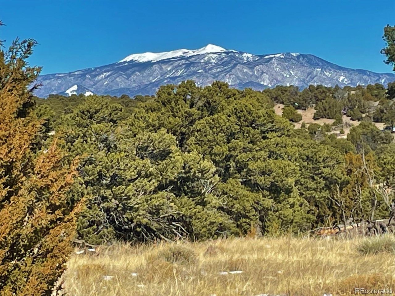 64 Navajo Ranch Walsenburg, CO 81089 - Photo 16 of 19