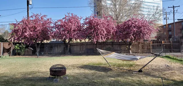 $449,900 | 560 Cedar Avenue, Grand Junction, CO 81501