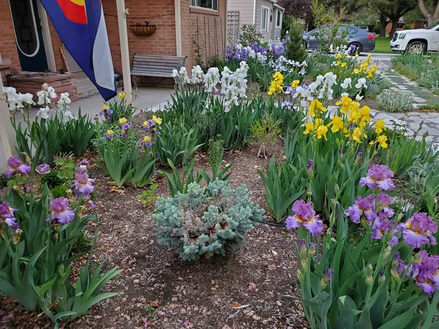 $449,900 | 560 Cedar Avenue, Grand Junction, CO 81501