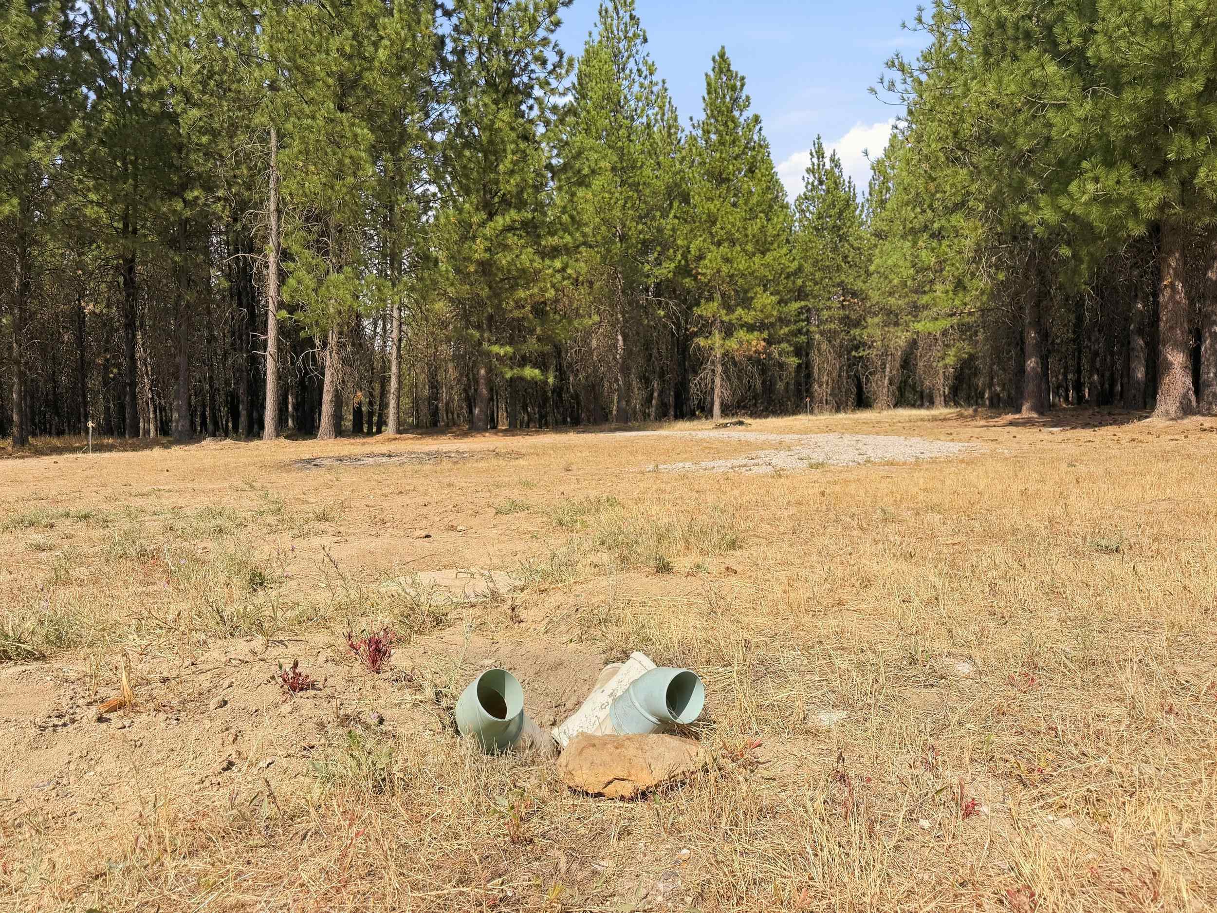 11612 East Laurel Road Elk, WA 99009 - Photo 9 of 22 Gallery Image 9