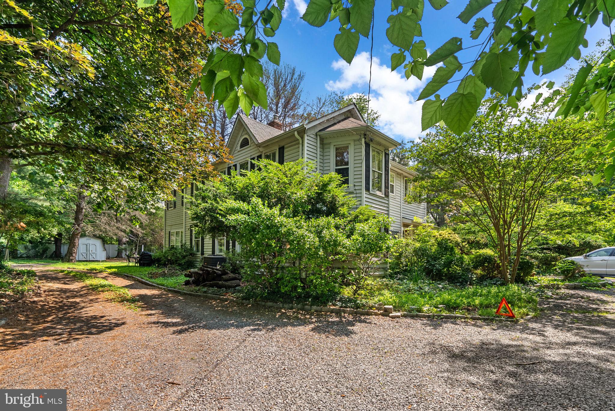 a view of a yard with plants and large trees