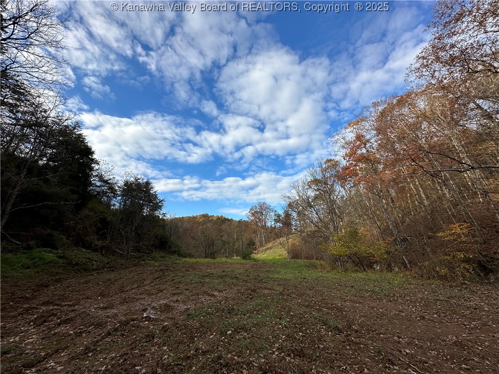 621 3 Mile Road Brohard, WV 26138 - Photo 46 of 48 Gallery Image 46