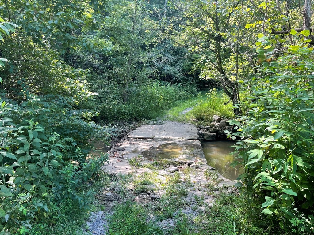 1549 Douglas Dam Road Sevierville, TN 37876 - Photo 10 of 30