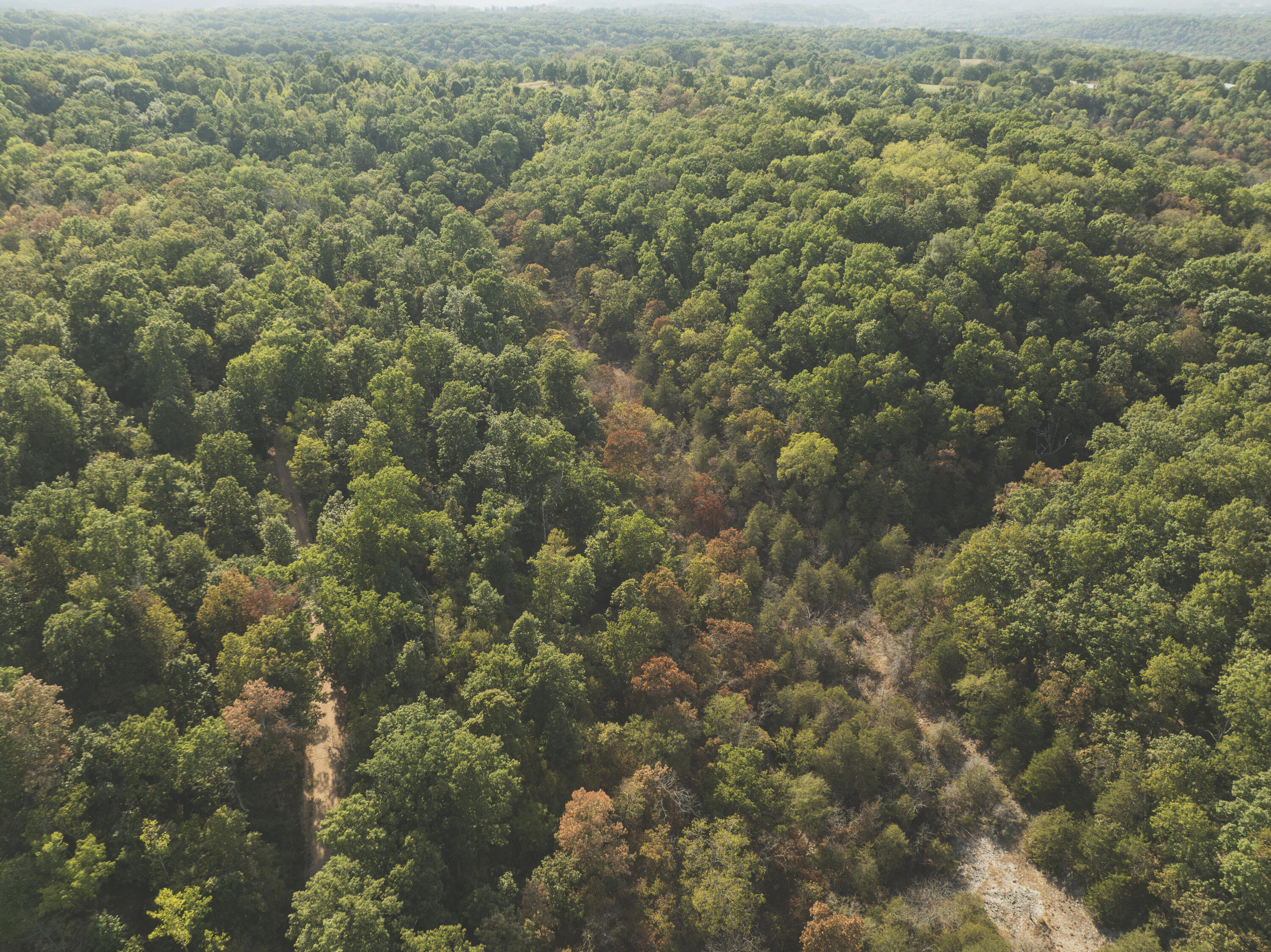 0 Boone Hollow Road Powell, MO 65730 - Photo 13 of 95 MWLG - Boone Hollow 40 - DG012