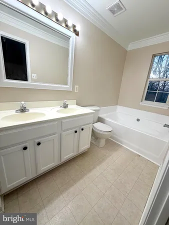 a bathroom with a double vanity sink a toilet and a bathtub