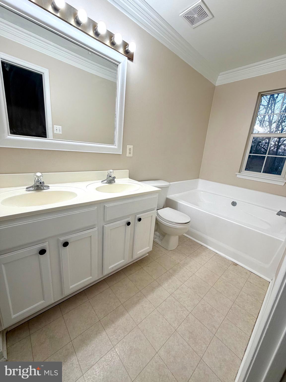 10158 Tree Frog Place White Plains, MD 20695 - Photo 20 of 25 a bathroom with a double vanity sink a toilet and a bathtub