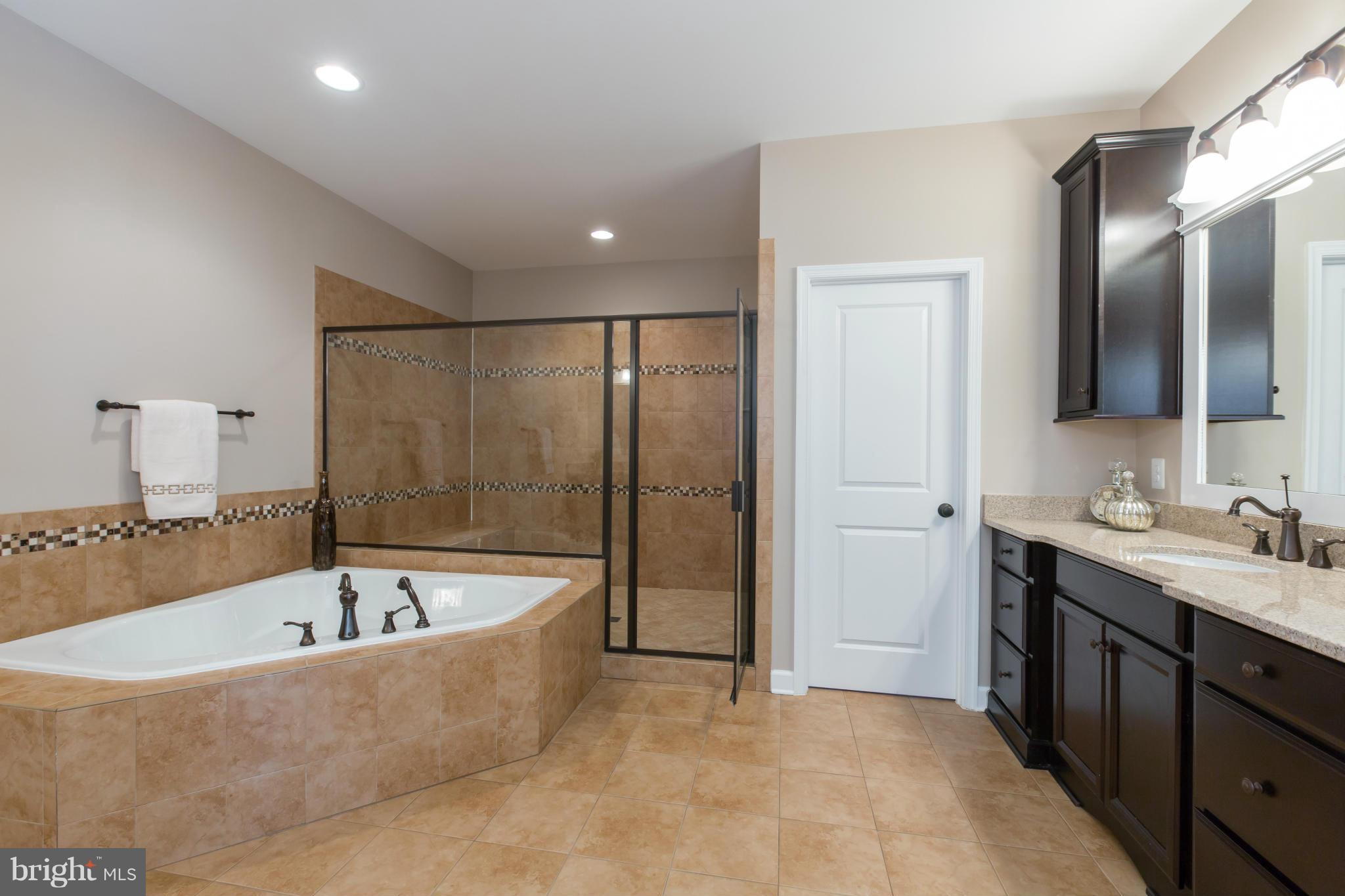 700 Walker Road Great Falls, VA 22066 - Photo 19 of 30 Bath (Master)