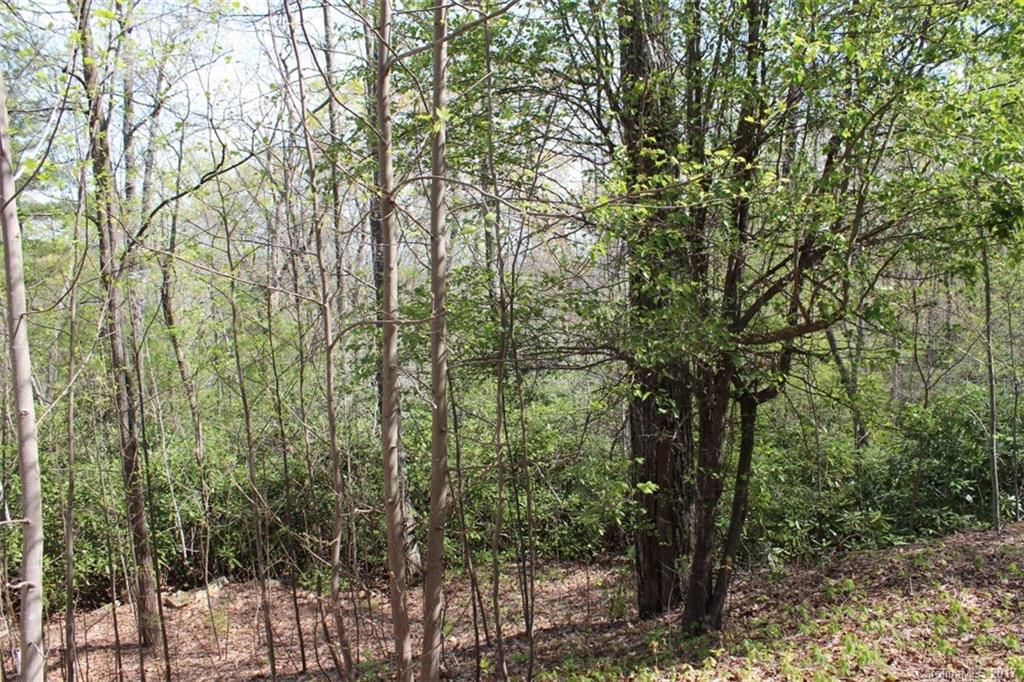 75 Bear Rock Loop Road, Unit 2 Hendersonville, NC 28739 - Photo 21 of 23 Gallery Image 21
