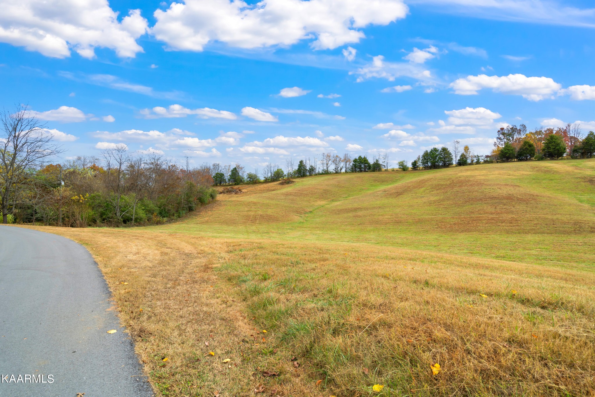 18 Brown Road Blaine, TN 37709 - Photo 8 of 17 Gallery Image 8